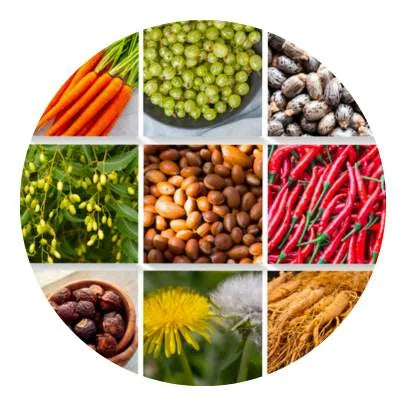 Otros 35 ingredientes naturales de la fórmula